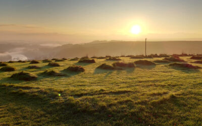 Returning to the Roots: Natural Burial in the South Hams